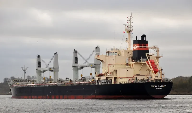 OCEAN SATOKO Bulk Carrier IMO 9610638 photo 10