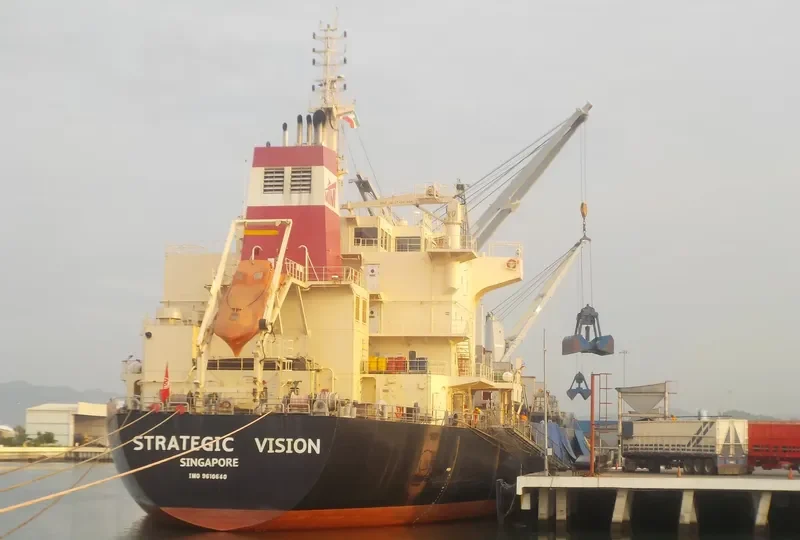 STRATEGIC VISION Bulk Carrier IMO 9610640 photo 3