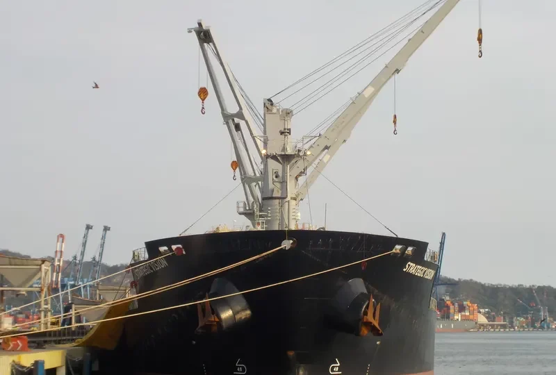 STRATEGIC VISION Bulk Carrier IMO 9610640 photo 4