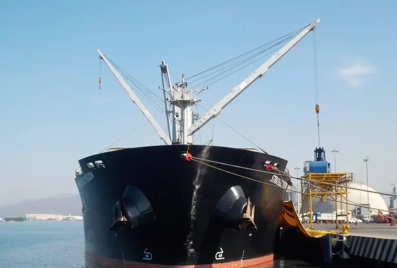 STRATEGIC VISION Bulk Carrier IMO 9610640 photo 6