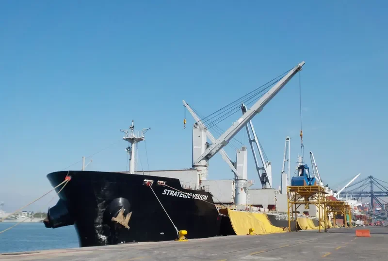STRATEGIC VISION Bulk Carrier IMO 9610640 photo 8