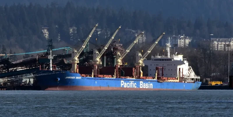 JIANGMEN TRADER Bulk Carrier IMO 9610664 photo 5