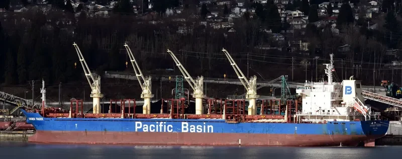 JIANGMEN TRADER Bulk Carrier IMO 9610664 photo 7