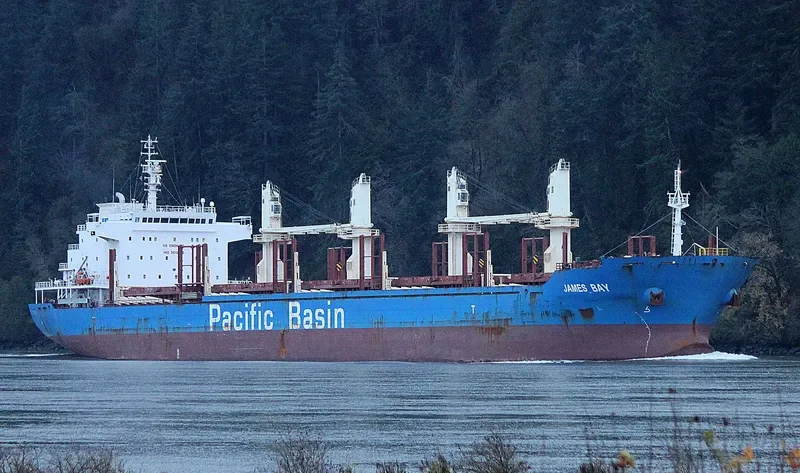 JAMES BAY Bulk Carrier IMO 9610676 photo 2