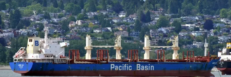 JAMES BAY Bulk Carrier IMO 9610676 photo 9