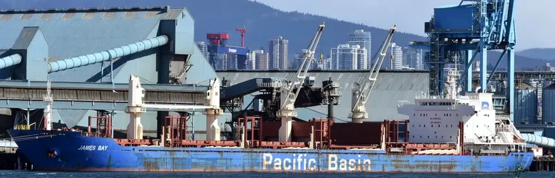JAMES BAY Bulk Carrier IMO 9610676 photo 10