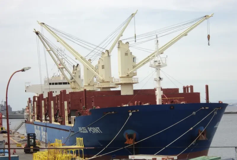 JULES POINT Bulk Carrier IMO 9610690 photo 5