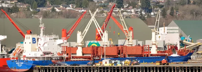 JULES POINT Bulk Carrier IMO 9610690 photo 8