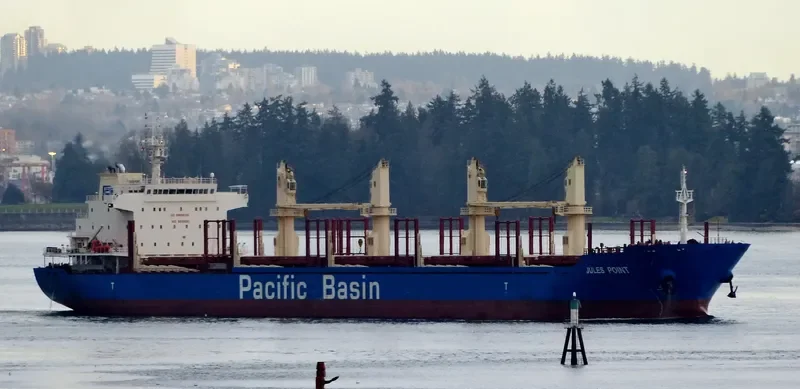 JULES POINT Bulk Carrier IMO 9610690 photo 10