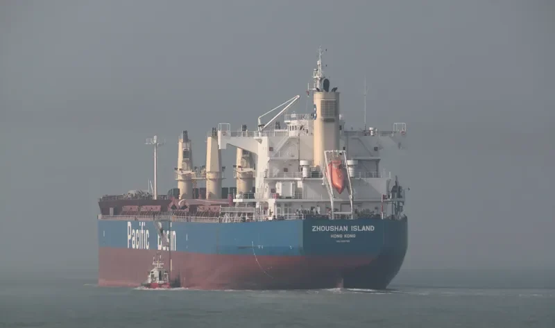 ZHOUSHAN ISLAND Bulk Carrier IMO 9610729 photo 4