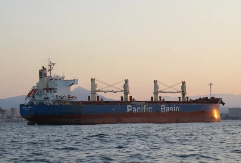 BONNY ISLAND Bulk Carrier IMO 9610731 photo 2