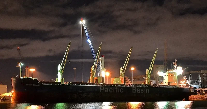 BONNY ISLAND Bulk Carrier IMO 9610731 photo 4