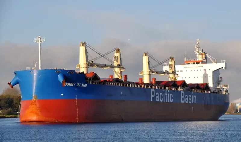 BONNY ISLAND Bulk Carrier IMO 9610731 photo 8