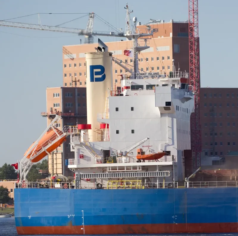 BONNY ISLAND Bulk Carrier IMO 9610731 photo 10