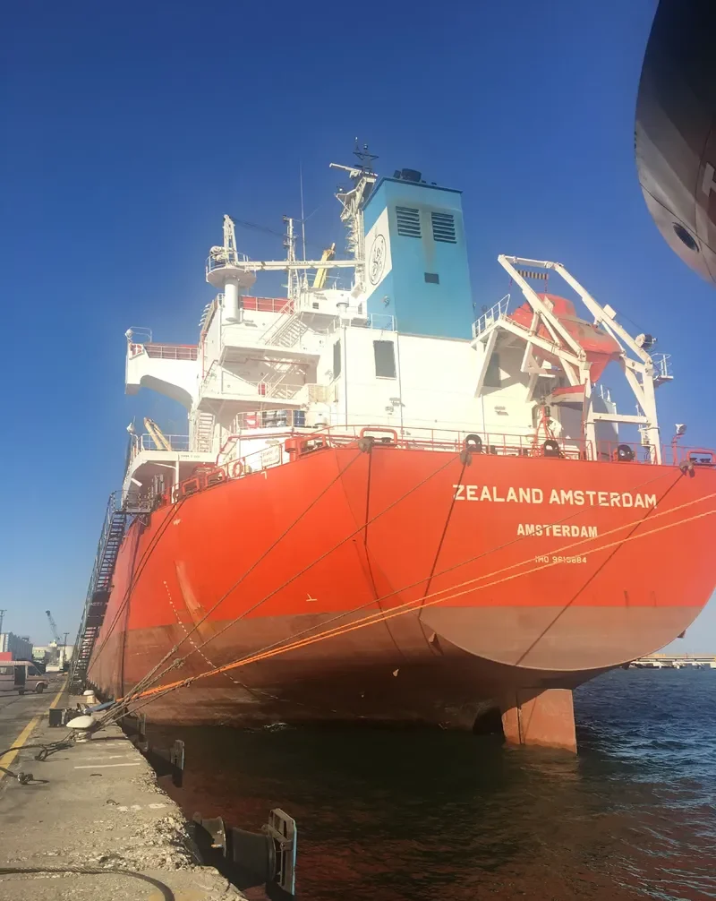 EGE S Bulk Carrier IMO 9610884