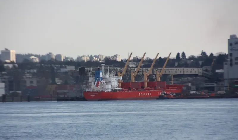 EGE S Bulk Carrier IMO 9610884 photo 5