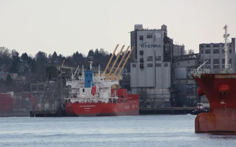EGE S Bulk Carrier IMO 9610884 photo 6