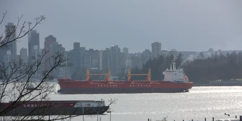EGE S Bulk Carrier IMO 9610884 photo 7