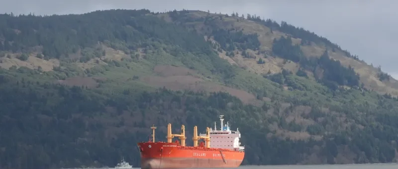 EGE S Bulk Carrier IMO 9610884 photo 8
