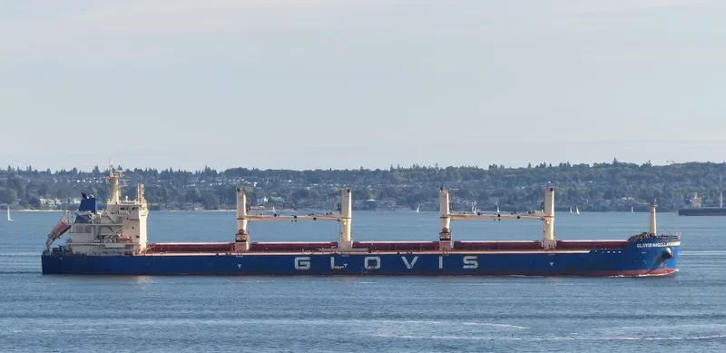 GLOVIS MAGELLAN Bulk Carrier IMO 9611010 photo 2