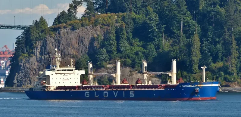 GLOVIS MAGELLAN Bulk Carrier IMO 9611010 photo 3