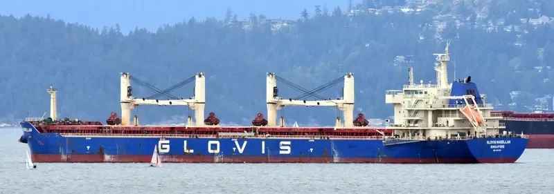 GLOVIS MAGELLAN Bulk Carrier IMO 9611010 photo 4
