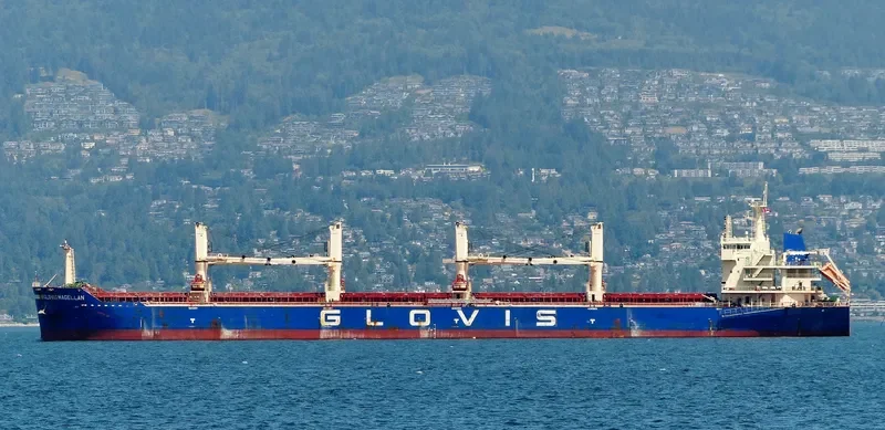 GLOVIS MAGELLAN Bulk Carrier IMO 9611010 photo 7