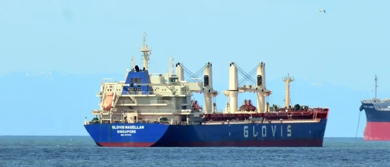 GLOVIS MAGELLAN Bulk Carrier IMO 9611010 photo 8