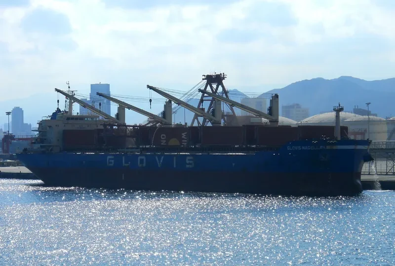 GLOVIS MAGELLAN Bulk Carrier IMO 9611010 photo 9