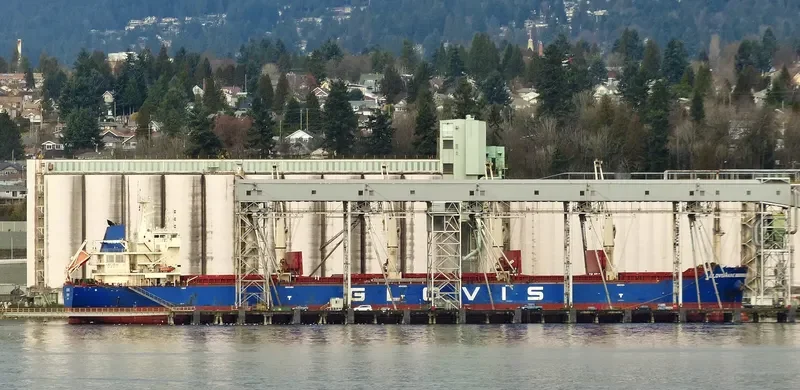 GLOVIS MAINE Bulk Carrier IMO 9611022 photo 2