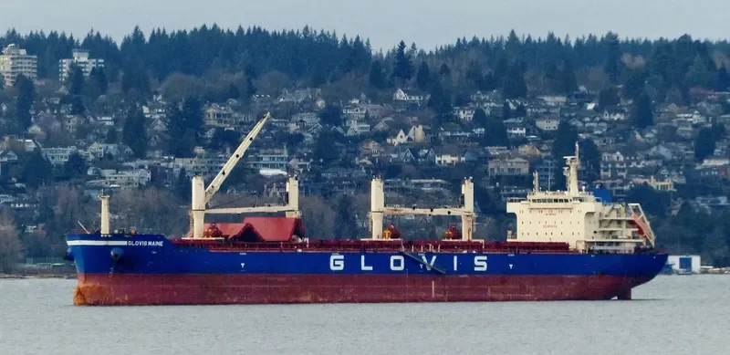 GLOVIS MAINE Bulk Carrier IMO 9611022 photo 4