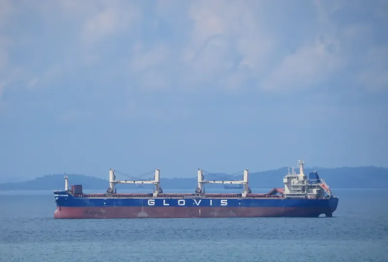 GLOVIS MAINE Bulk Carrier IMO 9611022 photo 9