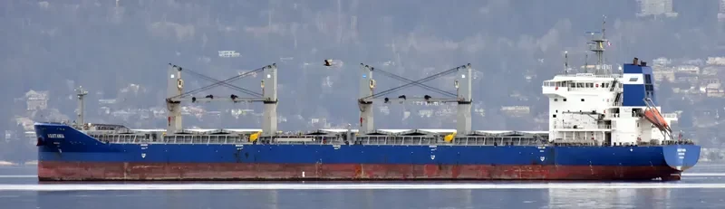 AQUITANIA Bulk Carrier IMO 9611278
