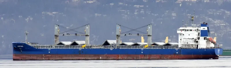 AQUITANIA Bulk Carrier IMO 9611278 photo 2