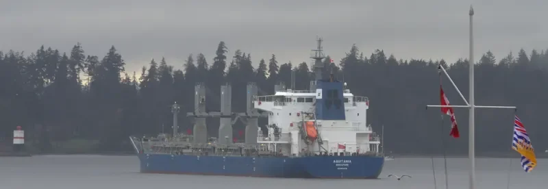 AQUITANIA Bulk Carrier IMO 9611278 photo 3