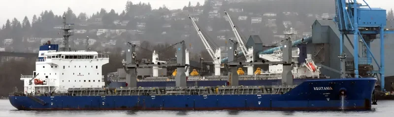AQUITANIA Bulk Carrier IMO 9611278 photo 5
