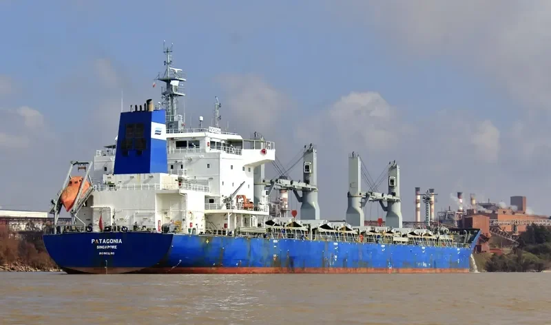 PATAGONIA Bulk Carrier IMO 9611280