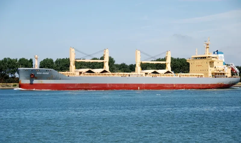 NINA MARIE Bulk Carrier IMO 9611292 photo 4
