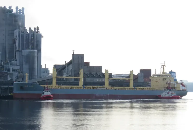 NINA MARIE Bulk Carrier IMO 9611292 photo 6