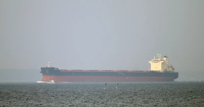 NISSAKI Bulk Carrier IMO 9611515 photo 4