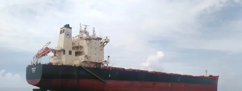 NISSAKI Bulk Carrier IMO 9611515 photo 9