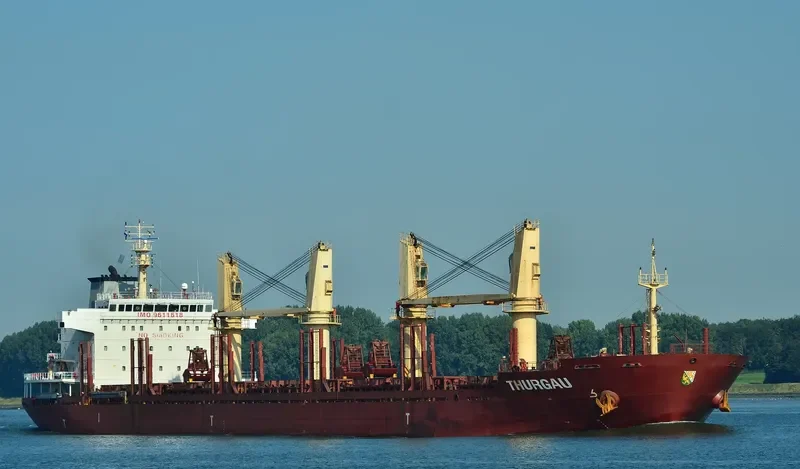 RUN CHEN 2 Bulk Carrier IMO 9611618