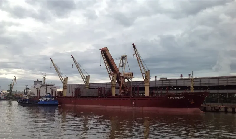 RUN CHEN 2 Bulk Carrier IMO 9611618 photo 2