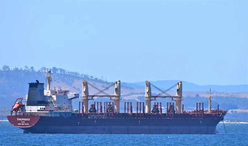 RUN CHEN 2 Bulk Carrier IMO 9611618 photo 4