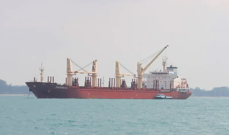 RUN CHEN 2 Bulk Carrier IMO 9611618 photo 5