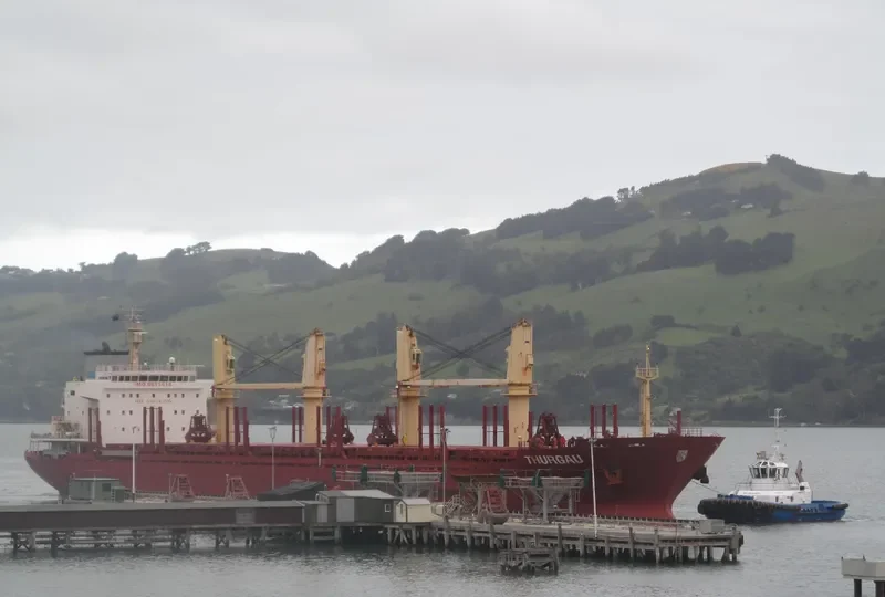 RUN CHEN 2 Bulk Carrier IMO 9611618 photo 9