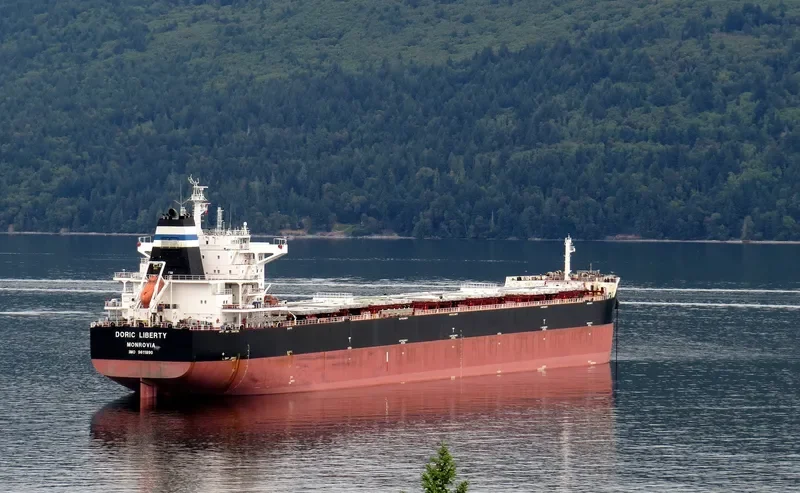 DORIC LIBERTY Bulk Carrier IMO 9611890 photo 6