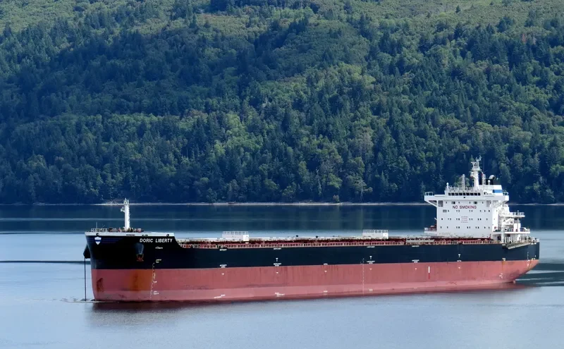 DORIC LIBERTY Bulk Carrier IMO 9611890 photo 7