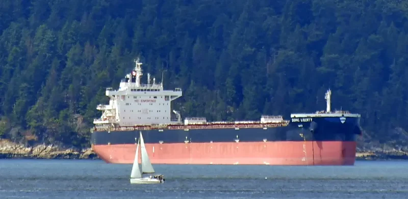 DORIC LIBERTY Bulk Carrier IMO 9611890 photo 8