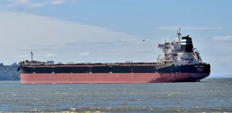 DORIC LIBERTY Bulk Carrier IMO 9611890 photo 9